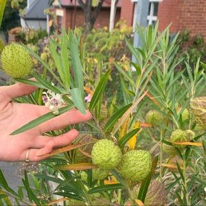 Meet your Posher, Mia